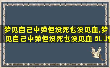 梦见自己中弹但没死也没见血,梦见自己中弹但没死也没见血 🐶 什么意思